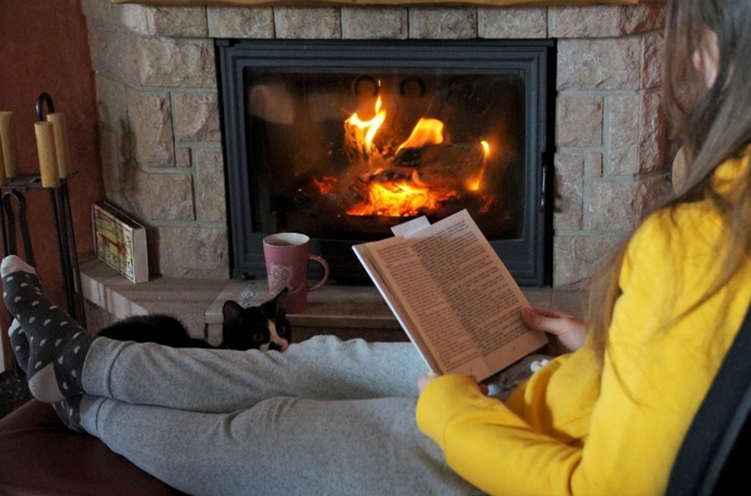 Stay Warm This Winter with Quality Firewood and Fuel from Lumberjacks in Ipswich Stay Warm This Winter with Quality Firewood and Fuel from Lumberjacks in Ipswich
