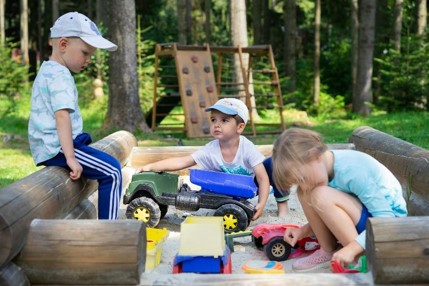 Four More Lumberjacks Garden Projects for the Summer 