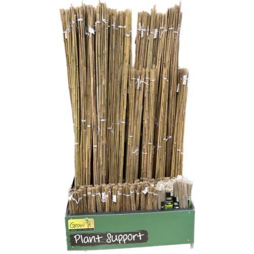 bamboo