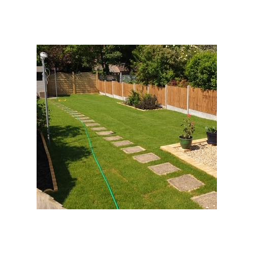 grassrolls