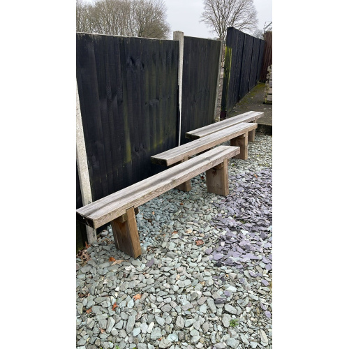 sas_rebecca_bench